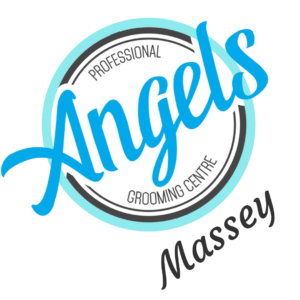 Angels Professional Grooming Centre – Massey