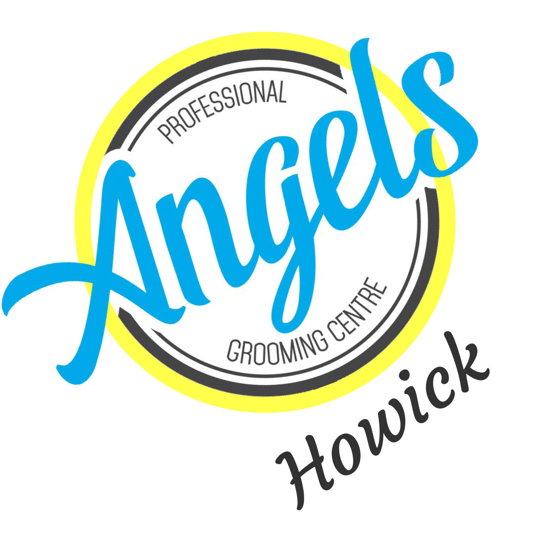 Howick-FB-Logo